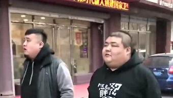 陆河娱乐爆料事件,揭秘娱乐圈背后的真相与争议