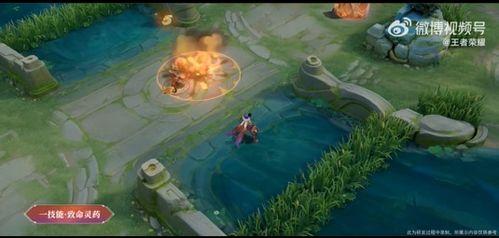 扁鹊最新爆料视频,最新爆料视频深度解析